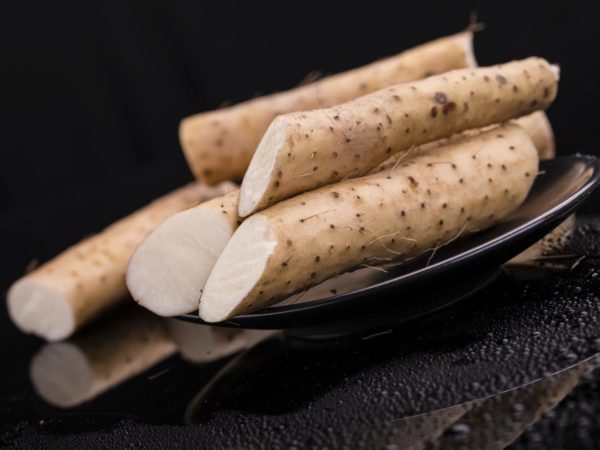 Wild Yam and Menopause