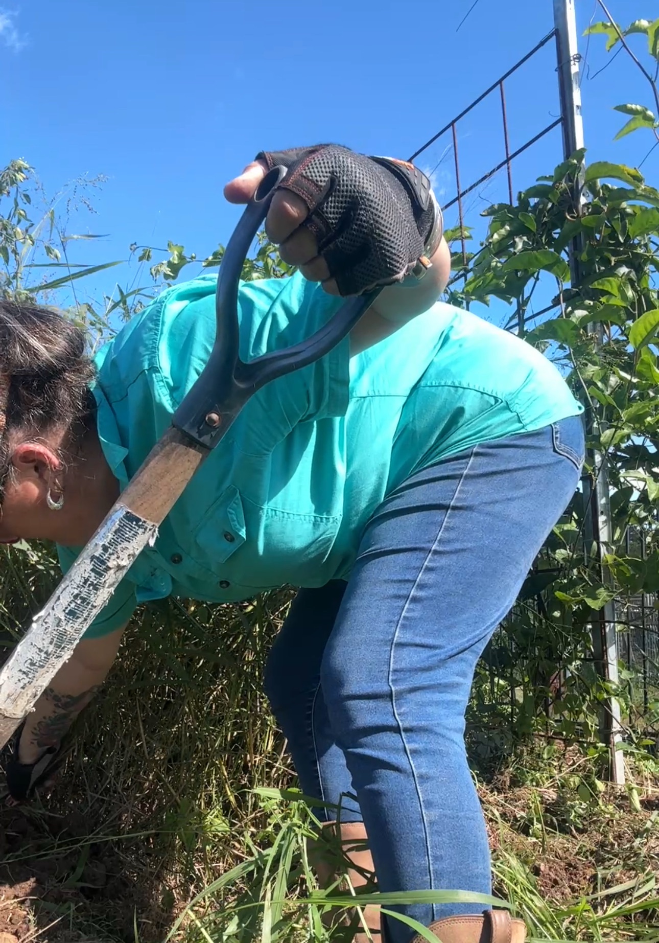 Pulling the Weeds and Planting New Seeds…