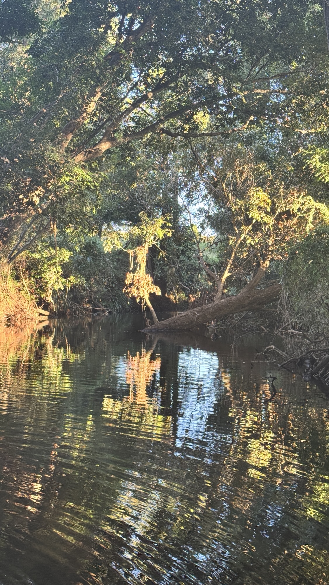 Finding Flow: Navigating Emotions and Change Over 50